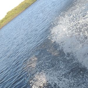 Meet your Posher, Marion